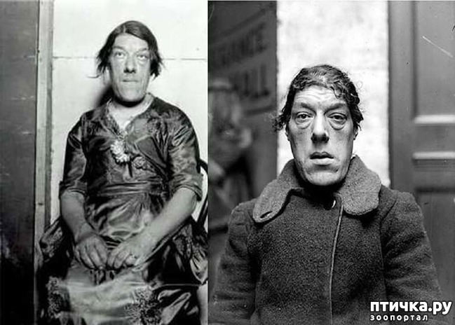 ���� 2: � �� ����, ��� ���������� ���� ����