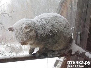 ����: ������ ������!