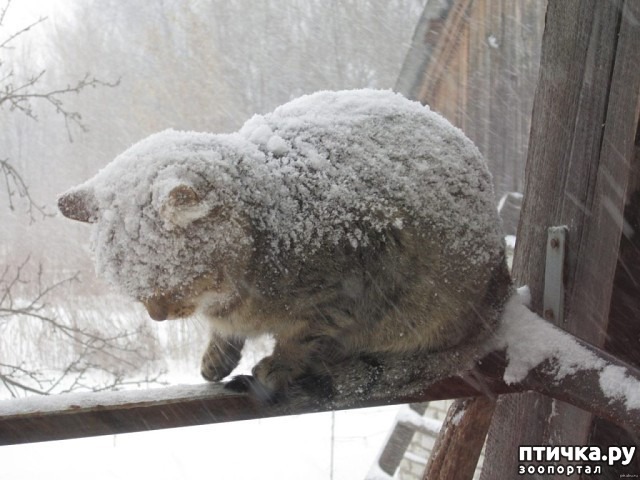 ���� 1: ������ ������!