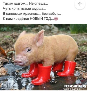 ����: � �����������!!!