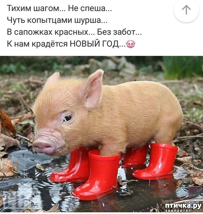 ���� 1: � �����������!!!