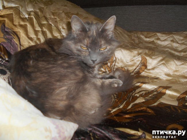 ���� 3: ��� ����