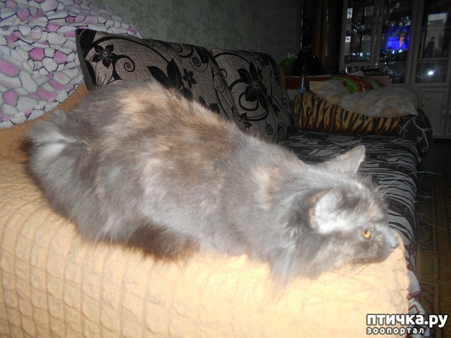 ���� 4: ��� ����