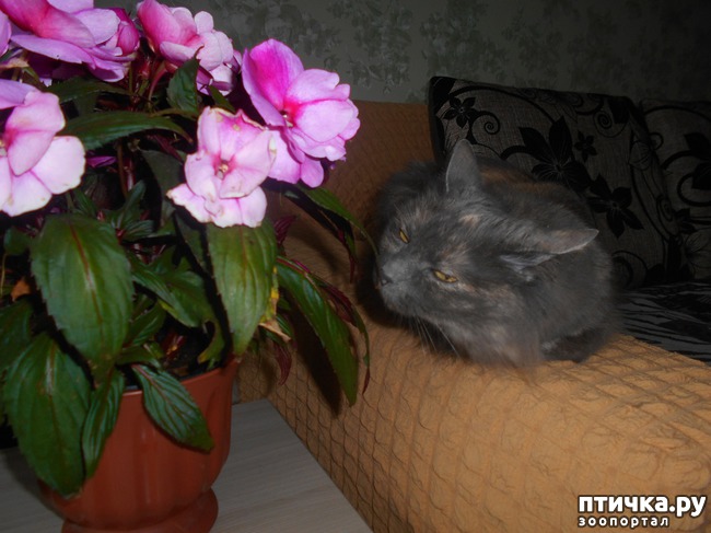 ���� 5: ��� ����