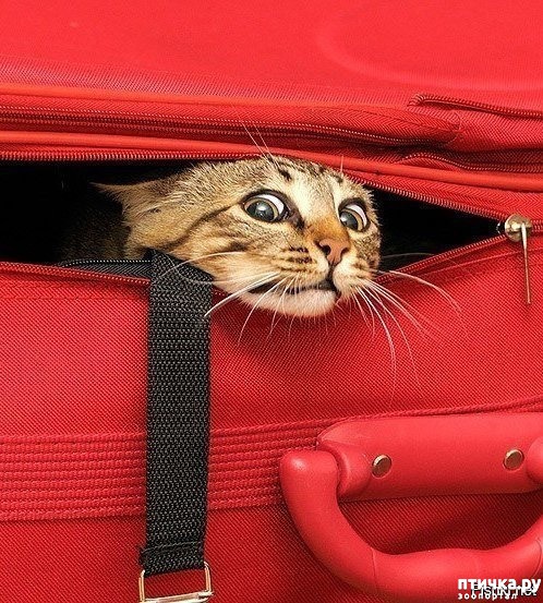 ���� 3: ���������� �����)))