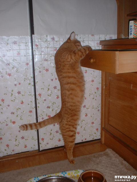 ���� 6: ���������� �����)))