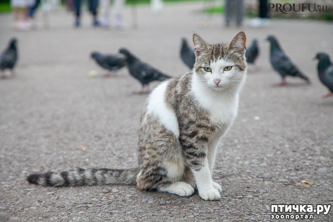 ���� 1: ������� �� ������� �� ������ ������ ����� � ������ ��������