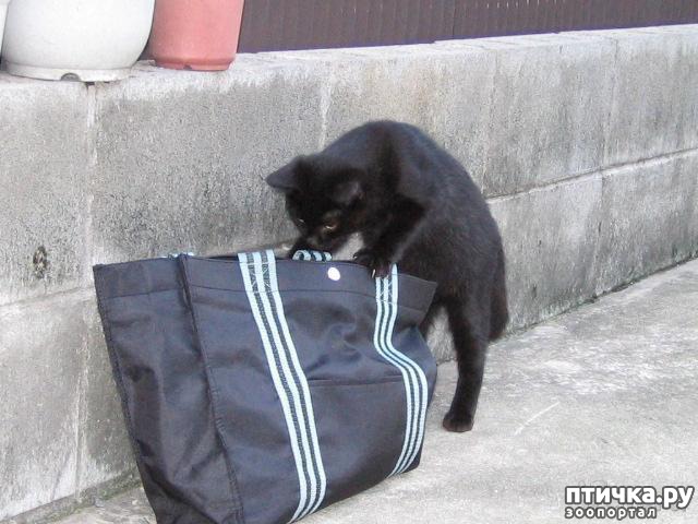 ���� 7: ���������� �����)))