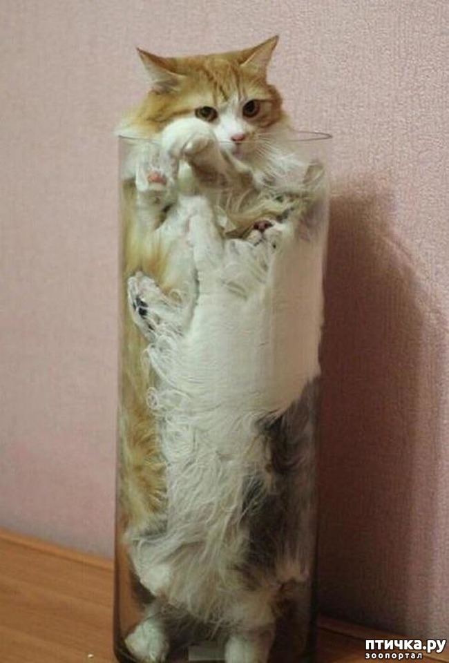 ���� 8: ���������� �����)))