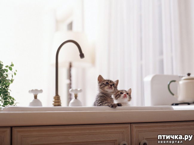 ���� 14: ���������� �����)))