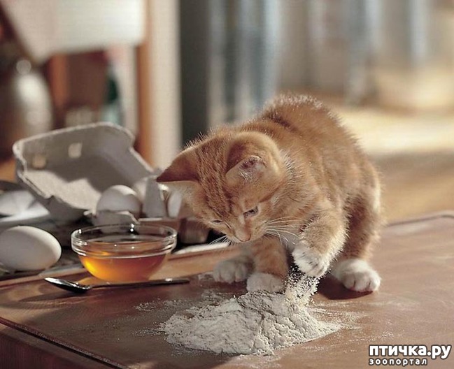 ���� 16: ���������� �����)))