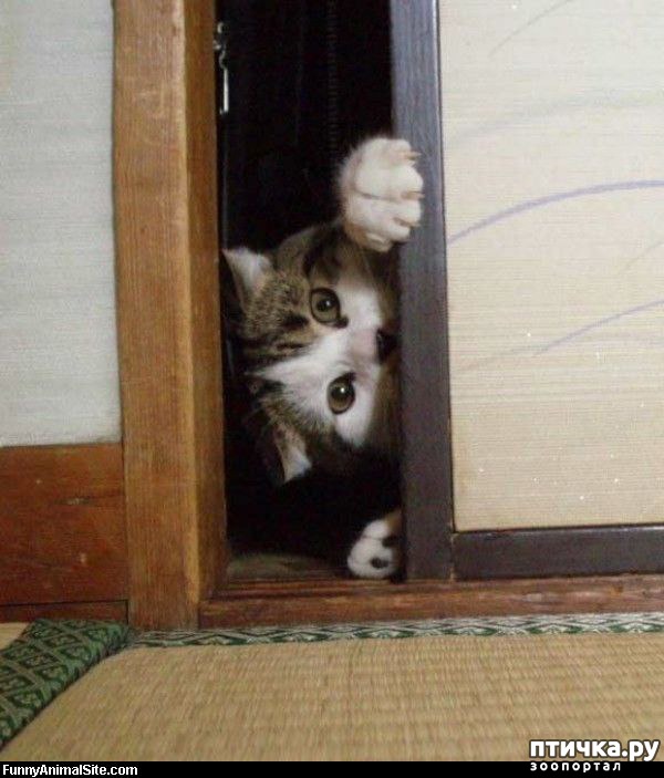 ���� 18: ���������� �����)))