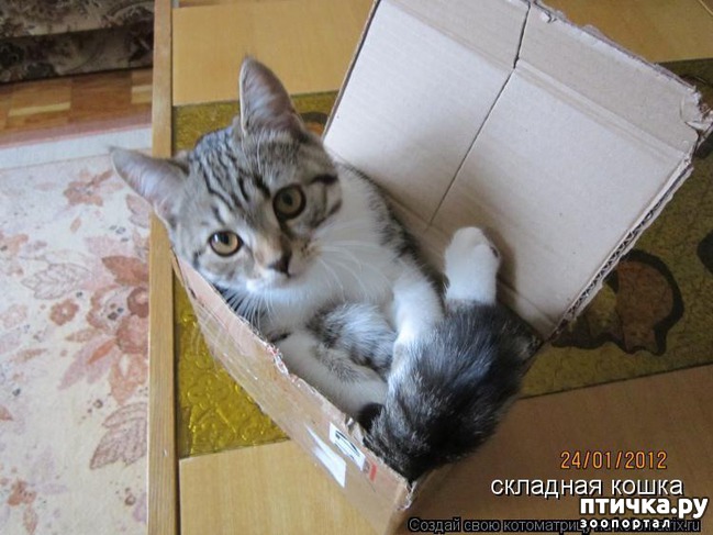 ���� 21: ���������� �����)))