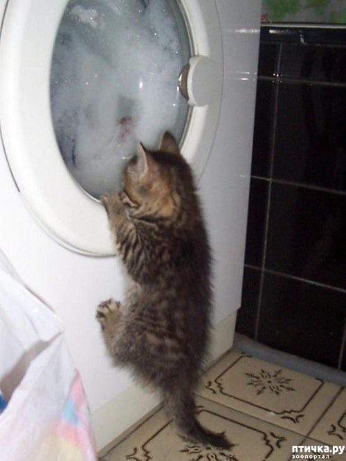 ���� 22: ���������� �����)))