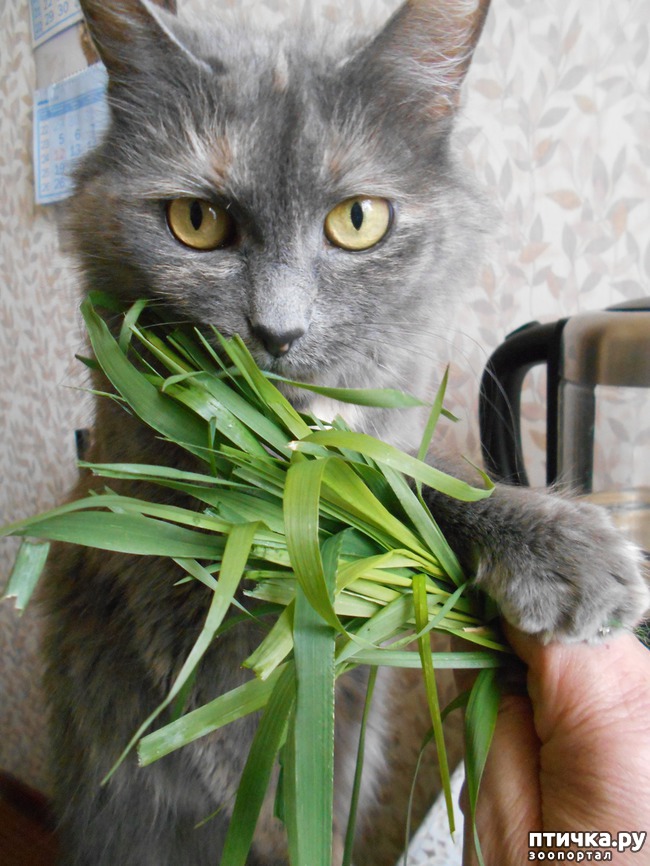 ���� 1: ��� ����