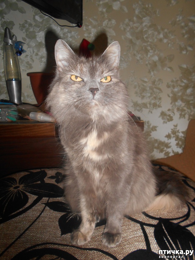 ���� 2: ��� ����