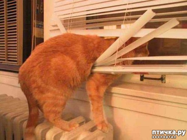 ���� 12: ���������� �����)))