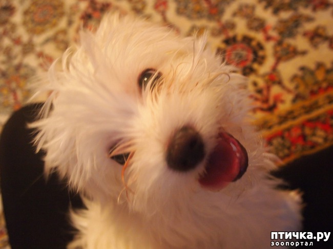 ���� 1: ��� �� �������� �������? ��� ��� �������?