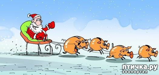 ���� 1: ����� ��� � ��� ������ � ����� �� ���������