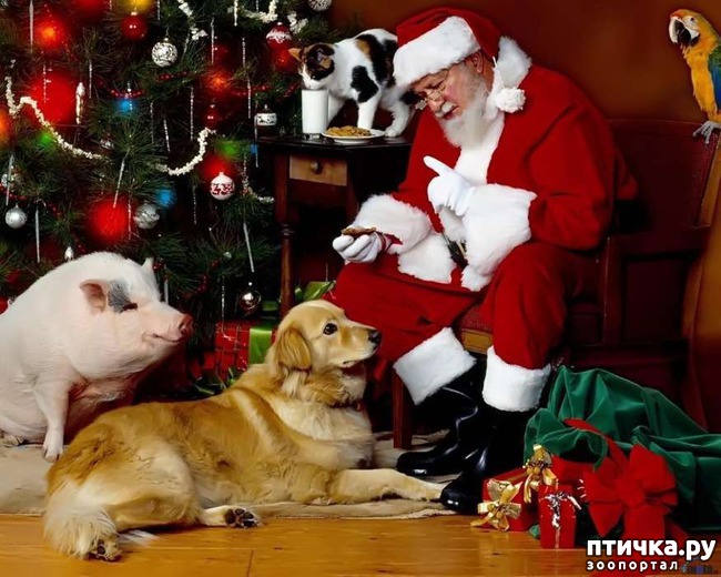 ���� 2: ����� ��� � ��� ������ � ����� �� ���������