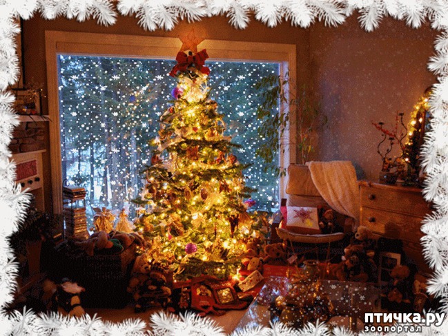 ���� 3: ����� ��� � ��� ������ � ����� �� ���������