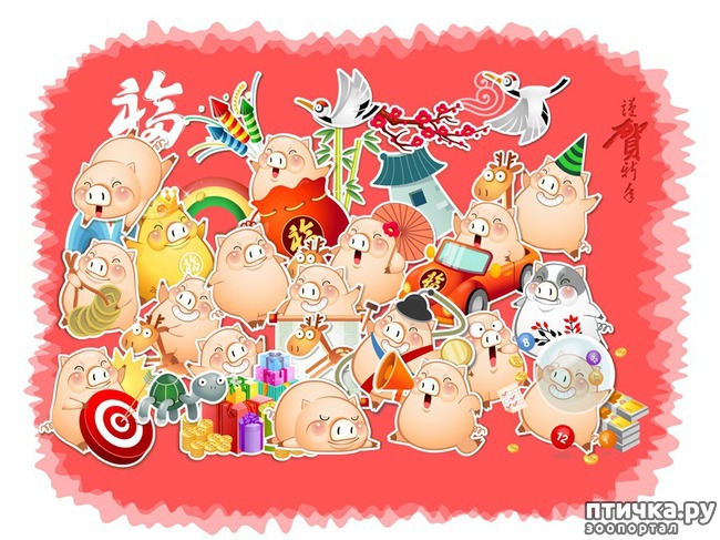 ���� 4: ����� ��� � ��� ������ � ����� �� ���������