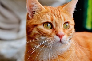 ����: ��� ����� ���������� ����������� �� ���� ������� ��� � ����� �����