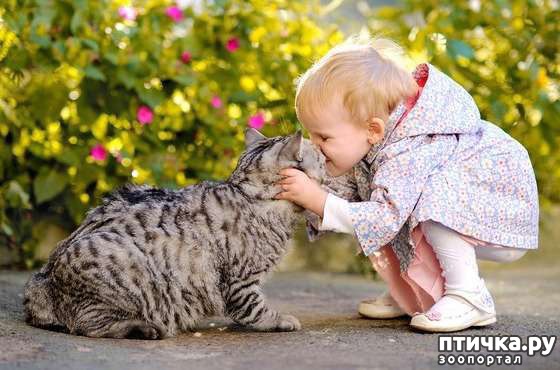 ���� 2: ���� � �������� ��������. ������ ������� ������������