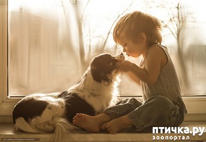 ����: ���� � �������� ��������. ������ ������� ������������