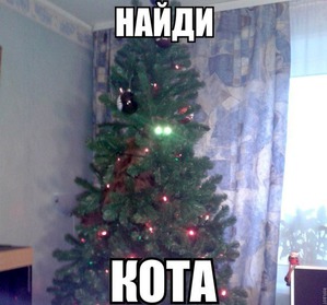 фотография: Котоматрица: Кот и Новый год-3. С Днем Энергетика! фото: Котоматрица: Кот и Новый год-3. С Днем Энергетика!