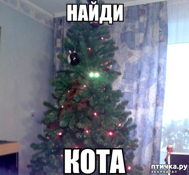 ���� 1: �����������: ��� � ����� ���-3. � ���� ����������!