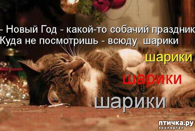 ���� 2: �����������: ��� � ����� ���-3. � ���� ����������!