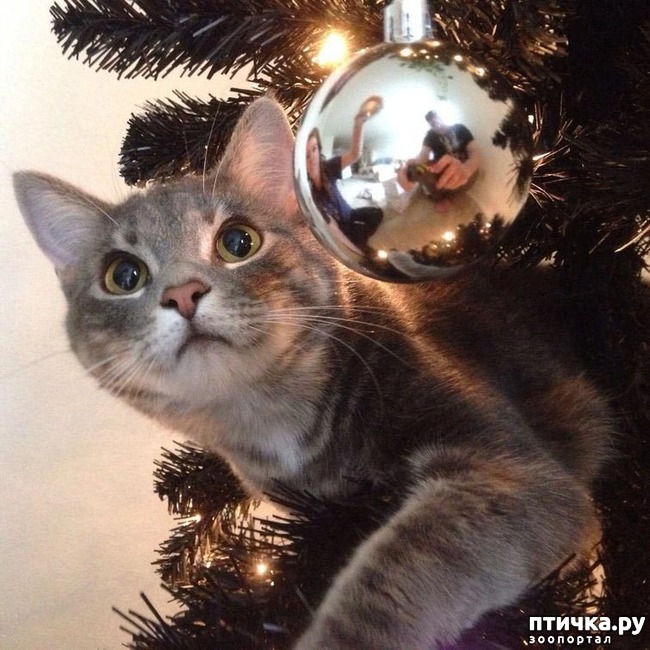 ���� 3: �����������: ��� � ����� ���-3. � ���� ����������!