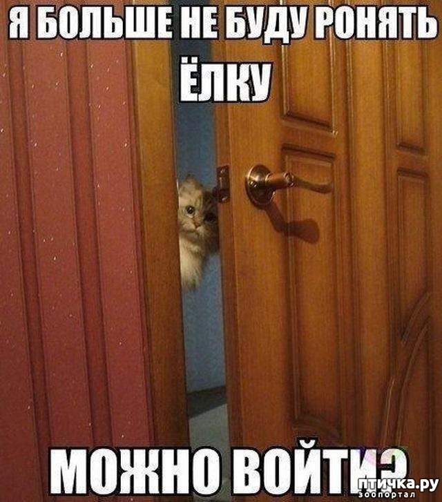 ���� 6: �����������: ��� � ����� ���-3. � ���� ����������!