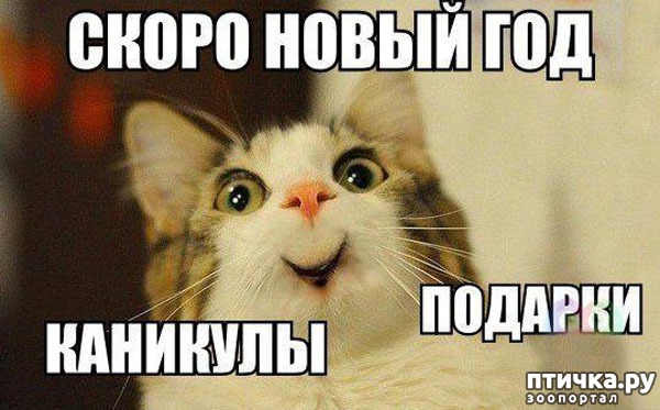 ���� 7: �����������: ��� � ����� ���-3. � ���� ����������!