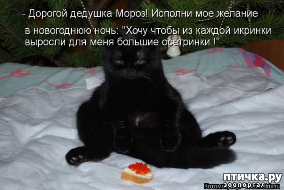 ���� 8: �����������: ��� � ����� ���-3. � ���� ����������!