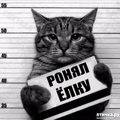 ���� 9: �����������: ��� � ����� ���-3. � ���� ����������!