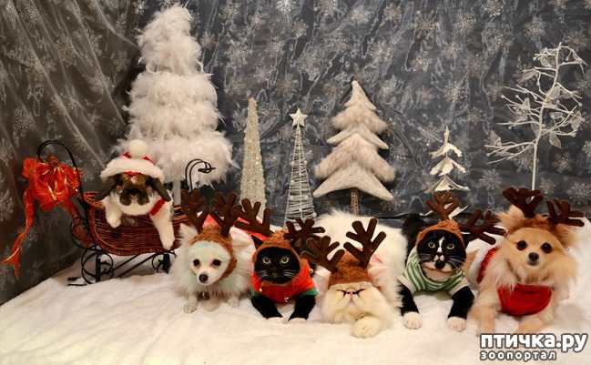 ���� 11: �����������: ��� � ����� ���-3. � ���� ����������!