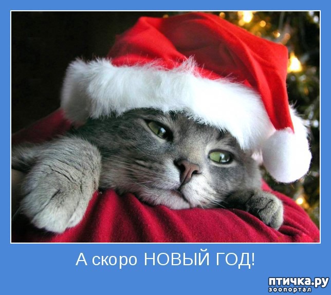 ���� 13: �����������: ��� � ����� ���-3. � ���� ����������!