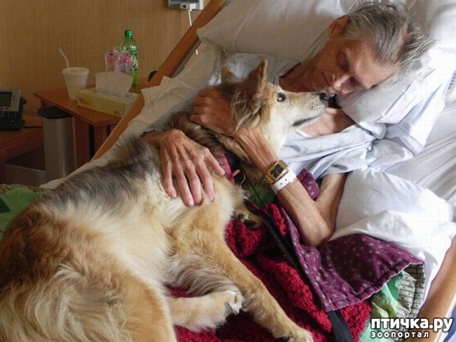 ���� 6: ����� ������������ �������.