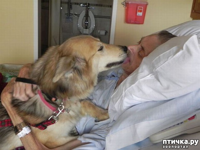 ���� 7: ����� ������������ �������.