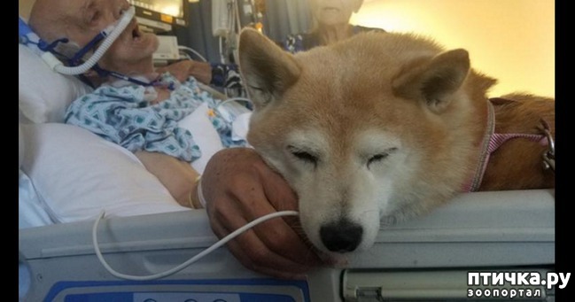 ���� 8: ����� ������������ �������.