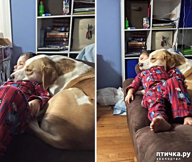 ���� 10: ����� ������������ �������.