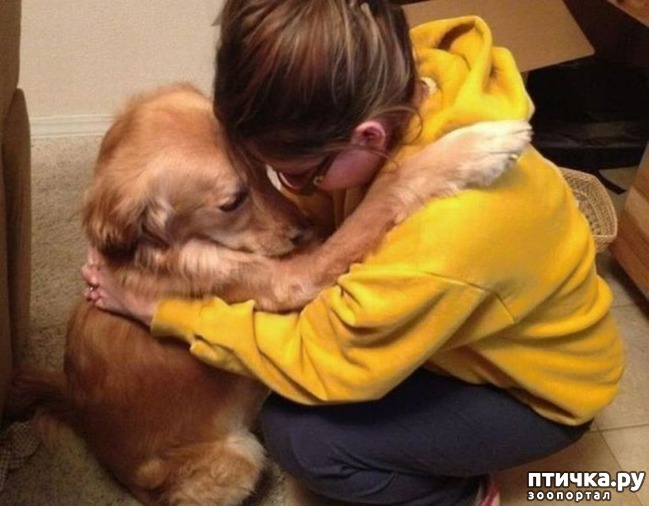 ���� 12: ����� ������������ �������.