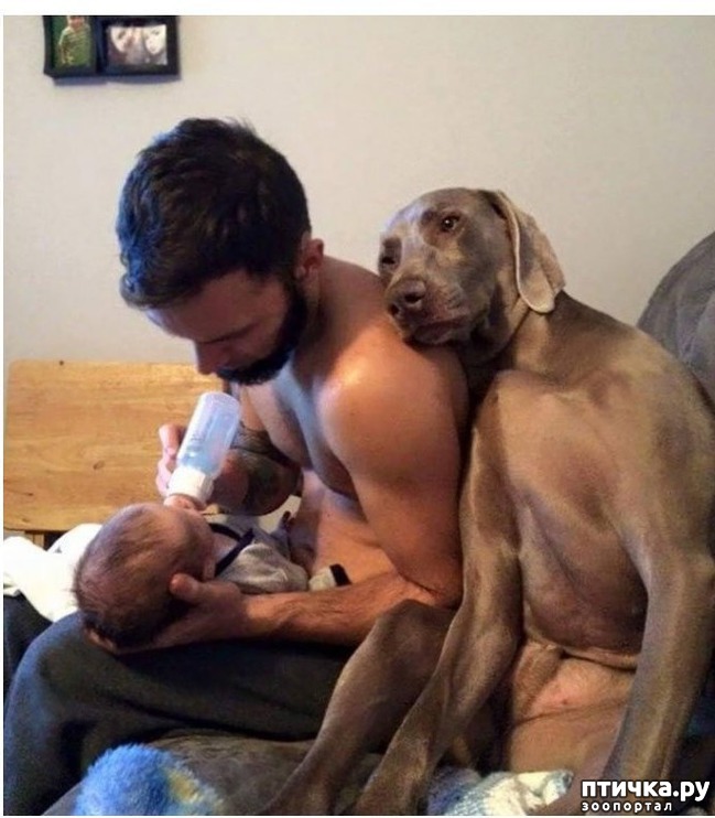 ���� 13: ����� ������������ �������.