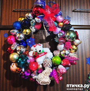 ����: ������� ��� �������