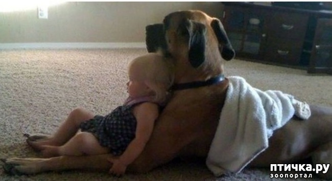 ���� 14: ����� ������������ �������.