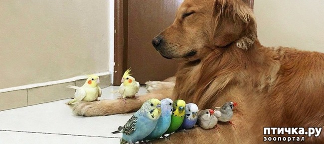 ���� 15: ����� ������������ �������.