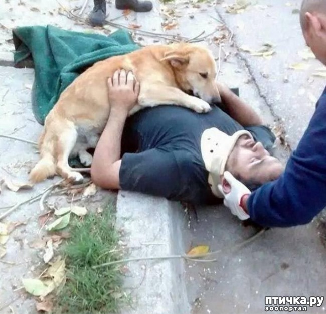 ���� 16: ����� ������������ �������.