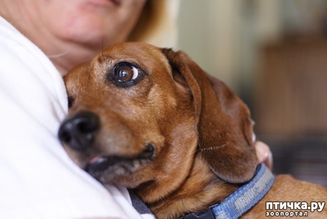 ���� 17: ����� ������������ �������.